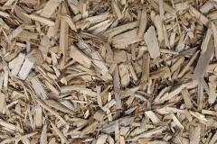 biomass boilers Ardoch
